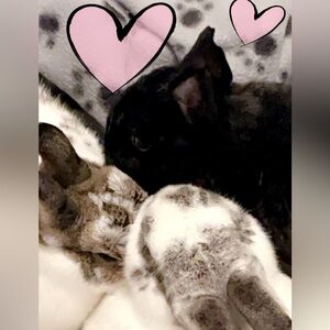 Meet your Posher, Natasha